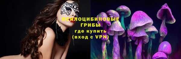 apvp Няндома