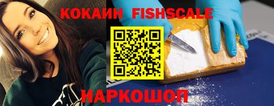 индика Ставрополь