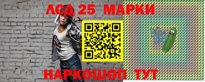 индика Ставрополь