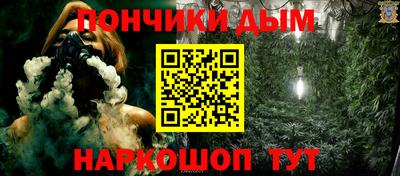 индика Ставрополь