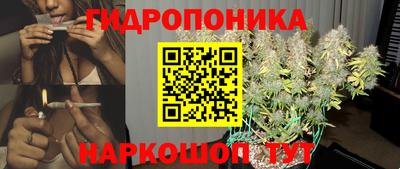 индика Ставрополь