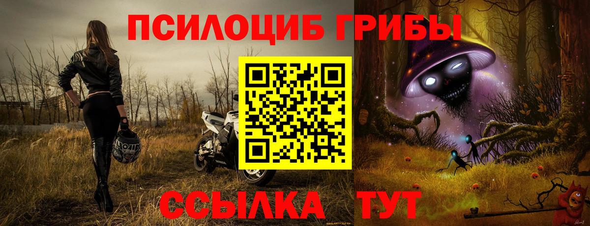 Канабис Новоалтайск