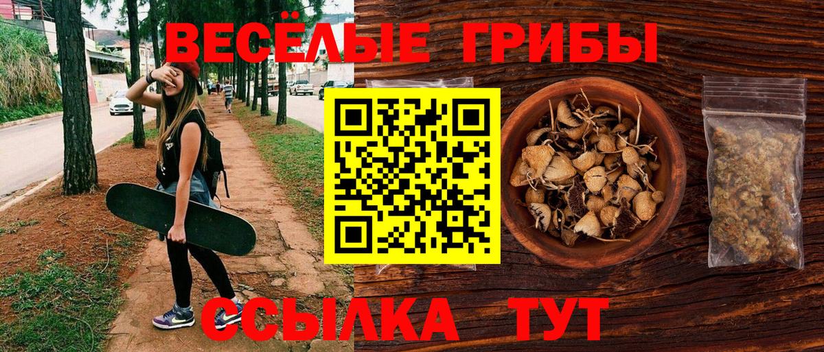 Псилоцибиновые грибы Cubensis  Псилоцибиновые грибы мицелий  Новоалтайск  Вход с VPN 
