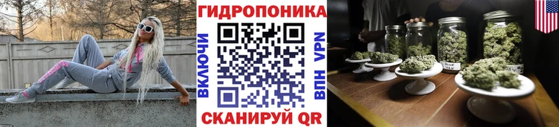 наркота  Новоалтайск  Бошки Шишки планчик 